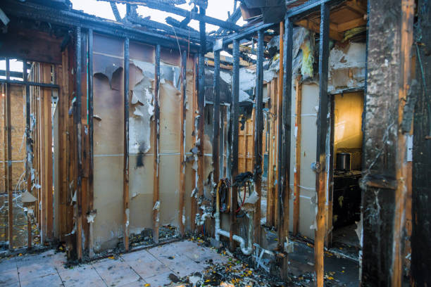 Professional Smoke Odor Removal technician working in Rockville, MD