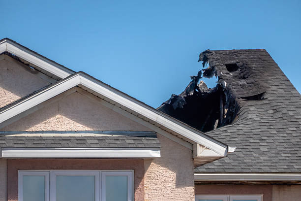 Top rated local Smoke Odor Removal specialists in Rockville, MD